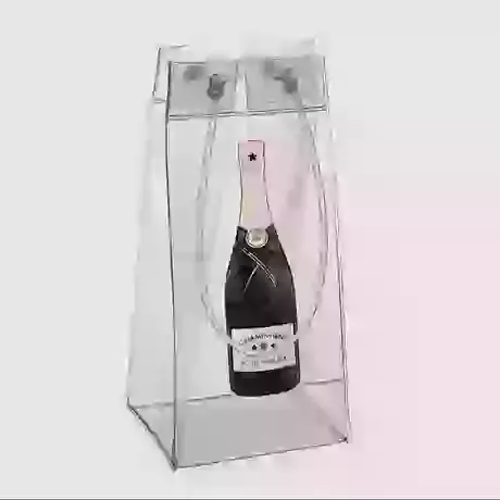 Just Add Ice- Champagne Bottle